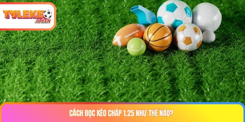 Chấp 1.25 Là Sao? Cách Đọc Kèo Chấp 1 1/4 Chi Tiết Cách đọc kèo chấp 1.25