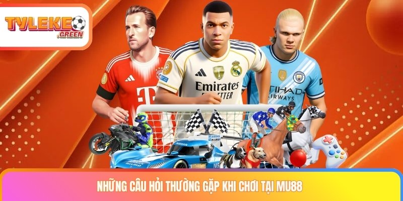 MU88 Là Gì? Sản Phẩm, Giấy Phép & Thông Tin Cần Kiểm Tra Các tiêu chí cần kiểm tra khi đánh giá MU88